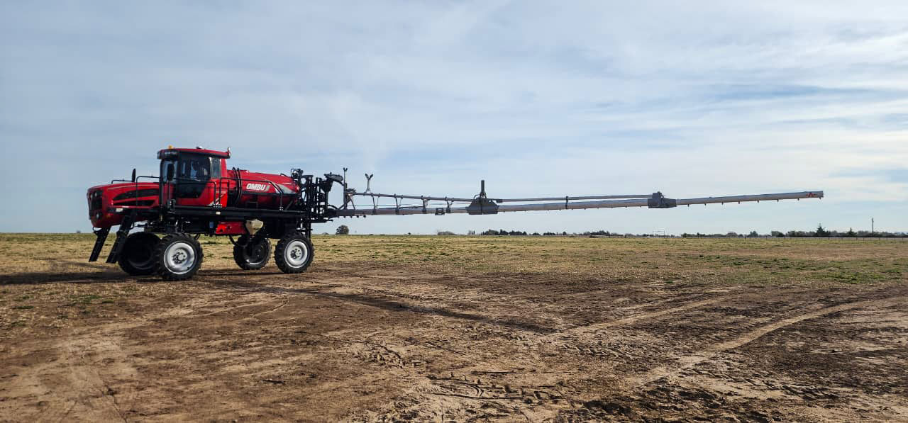 WhatsApp Image 2025-08-11 at 17.10.54